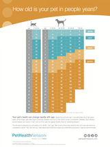 How old is your pet in people years?